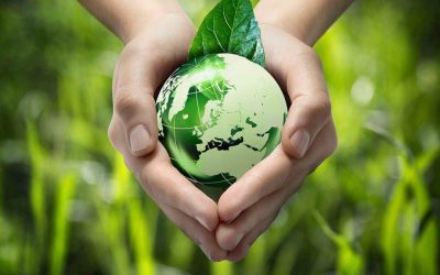 Why Use Eco-Friendly Promotional Products